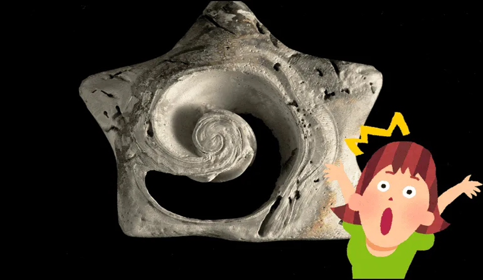 MOLUSCOS