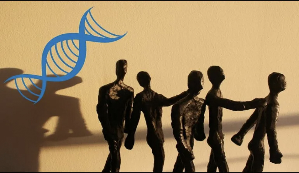 CAMBIO HUMANO